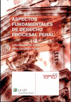 Aspectos Fundamentales De Derecho Procesal Penal (ebook)