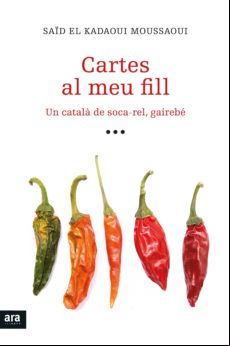 Cartes Al Meu Fill (ebook)