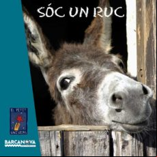 Sóc Un Ruc