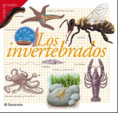 LOS INVERTEBRADOS EBOOK