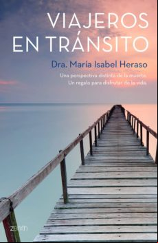 Viajeros En Tránsito (ebook)