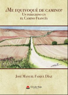 ¿me Equivoqué De Camino? Un Peregrino En El Camino Francés (ebook)