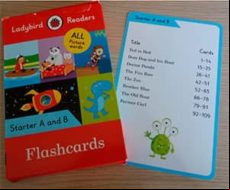 Flashcards. All Picture Words. Starter A And B (ladybird)