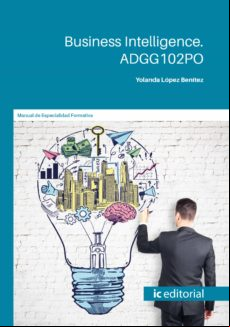 Business Intelligence. Adgg102po (ebook)