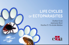 Life Cycles Of Ectoparasites In Small Animals