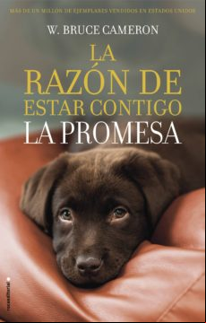 La Razón De Estar Contigo. La Promesa (ebook)
