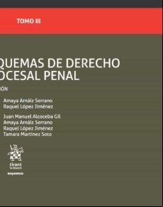 Esquemas De Derecho Procesal Penal (tomo Iii) (5ª Ed. 2019)