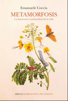 Metamorfosis (ebook)