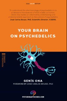Your Brain On Psychedelics