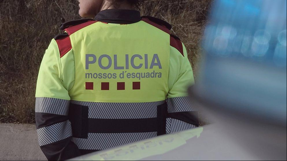 Detenido por lanzar una piedra a un mosso tras el partido Lleida-Hércules