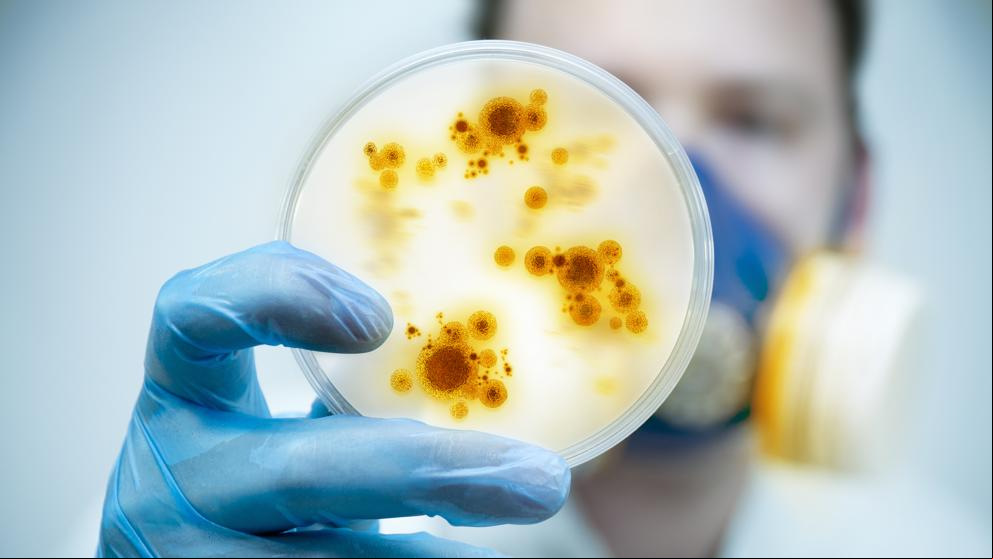 Descubren cómo se inmunizan las bacterias ante los antiobióticos