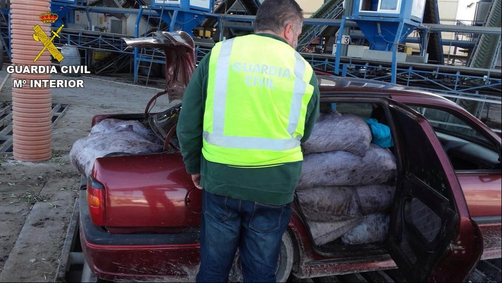 Cuatro investigados acusados de robar cuatro toneladas de aceitunas en Montilla
