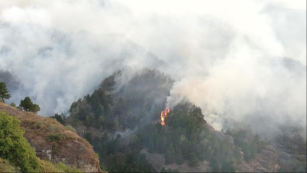 El incendio de Gran Canaria afecta a 3.400 hectáreas con focos de difícil extinción