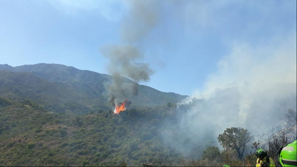 Incendio de Estepona: Desalojan a 50 personas