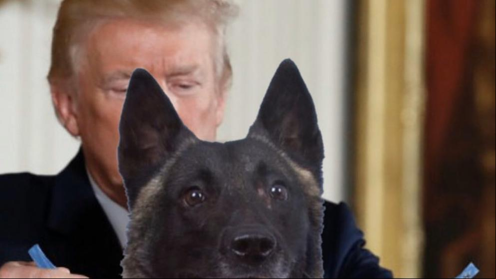 Trump tuitea un montaje condecorando al perro que ayudó a eliminar a Al Bagdadi
