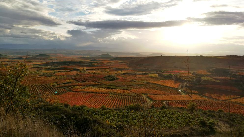 El bello paisaje otoñal de Haro