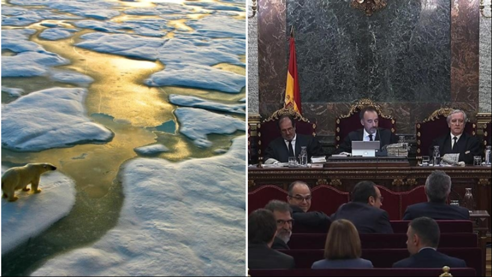 ‘Emergencia climática’ y ‘sentència’, palabras del año